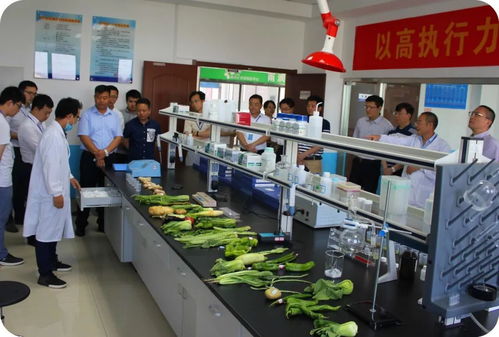 省食品安全快速檢測信息采集座談會(huì)在徐州雨潤公司圓滿舉行